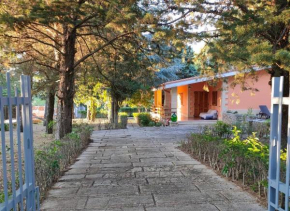 Nature, memories and garden shower at Casa del Castello Andria
